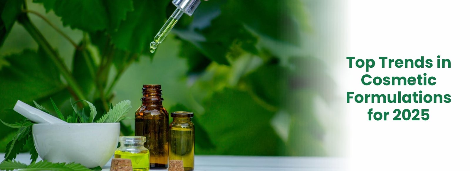Cosmetic Formulations for 2025